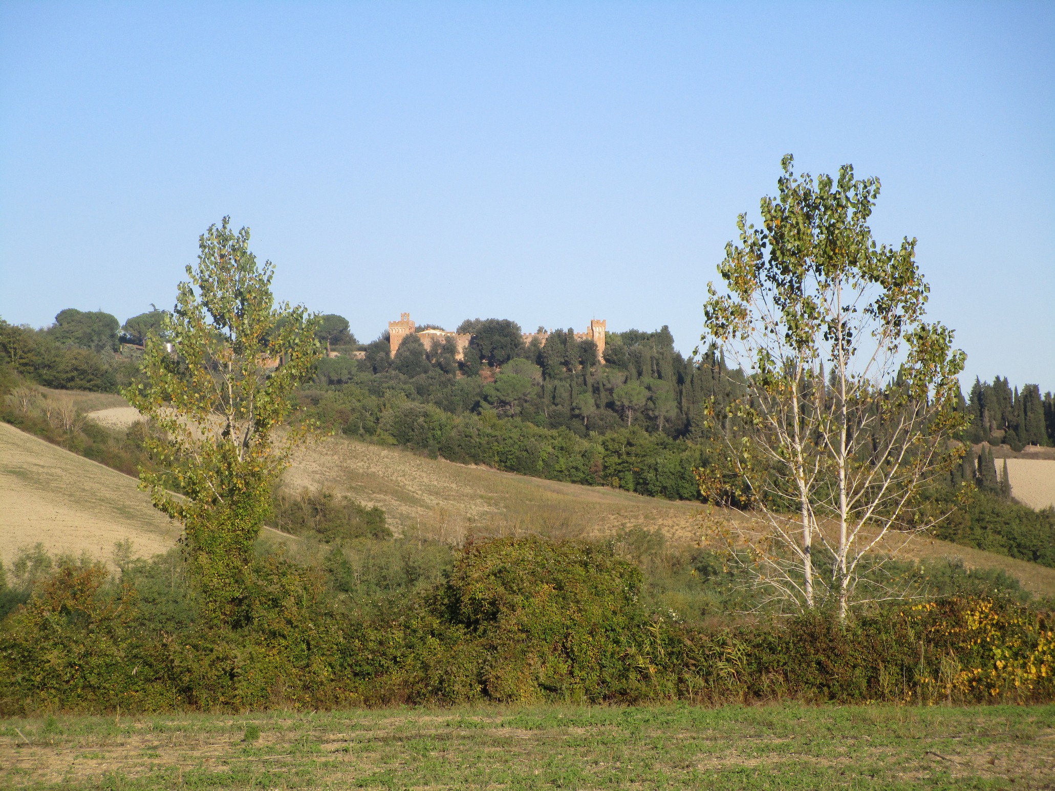 Grande, suggestivo paesaggio di campi e boschi, dove si scoprono e si ammirano i diversi colori e profumi delle stagioni.